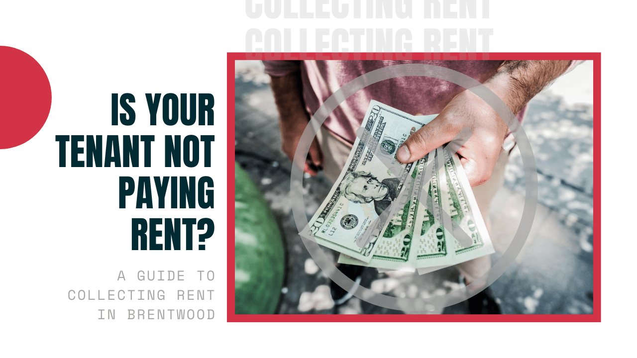 Is Your Tenant Not Paying Rent? - A Guide to Collecting Rent in Brentwood - Article Banner