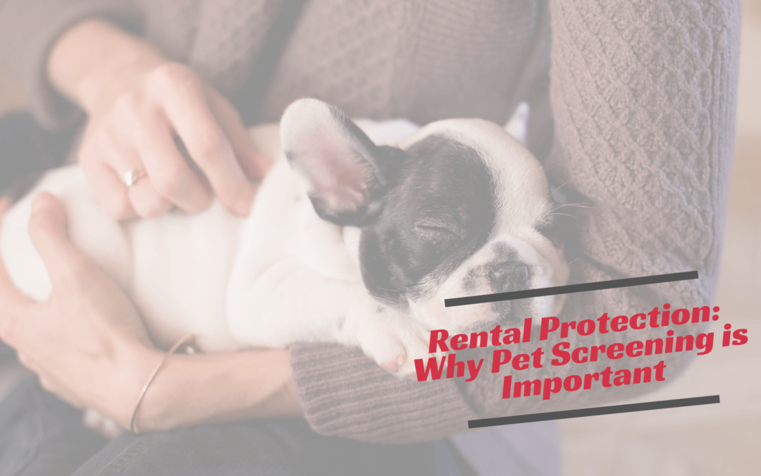 Why Pet Screening is Important to Protect Your Brentwood Rental Property