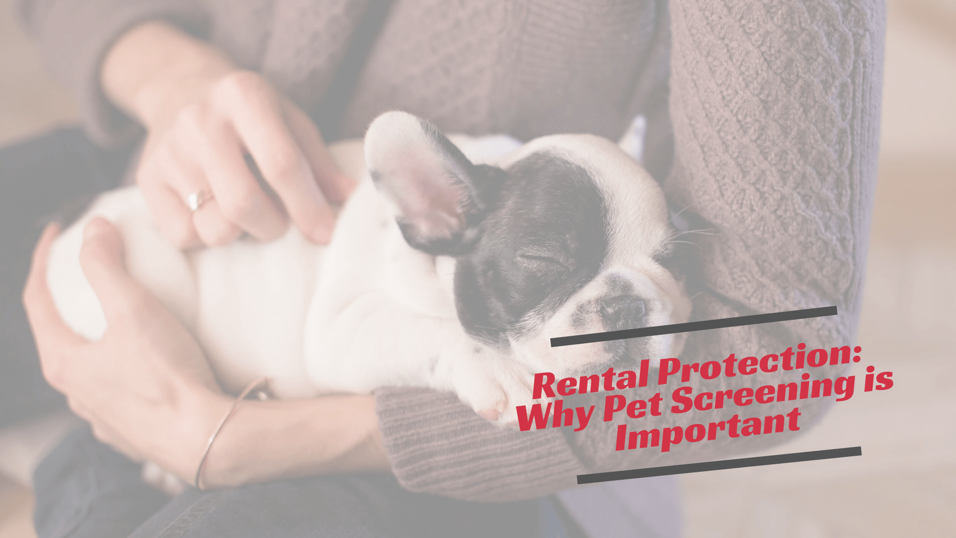 Why Pet Screening is Important | Parks Property Management