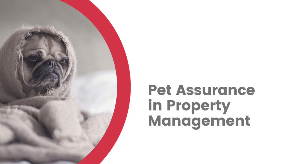 Property Management Company That Offers Pet Assurance - article banner