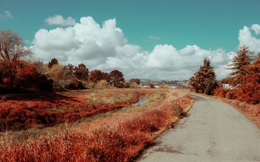 Find Your Dream House for Rent in Concord: Affordable Options in Top Neighborhoods